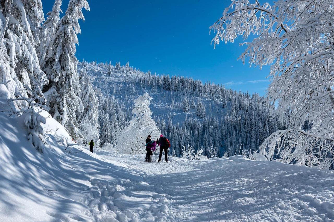 Stara Zvonica Hotel Nizna Boca Buitenkant foto